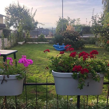 Appartamento Luminoso, Giardino, Vista Dolomiti. Базельга-ди-Пине Экстерьер фото