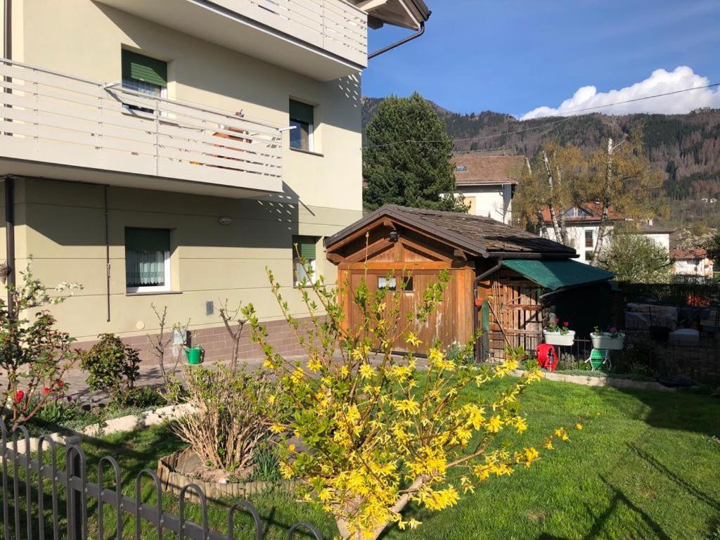 Appartamento Luminoso, Giardino, Vista Dolomiti. Базельга-ди-Пине Экстерьер фото