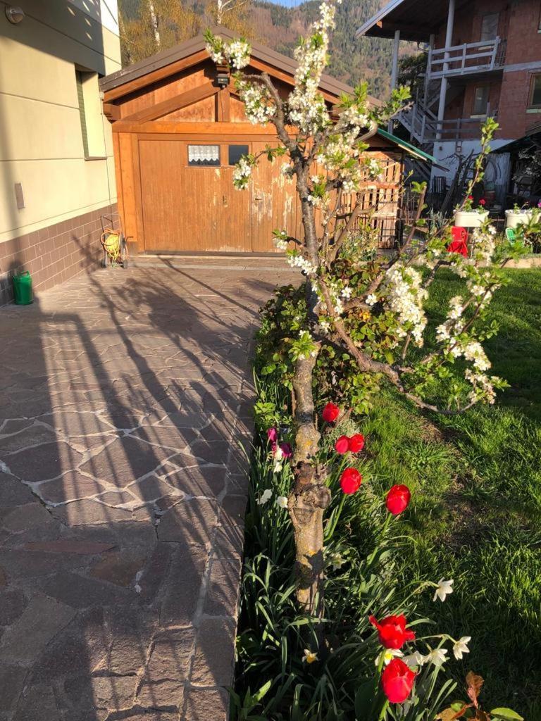 Appartamento Luminoso, Giardino, Vista Dolomiti. Базельга-ди-Пине Экстерьер фото