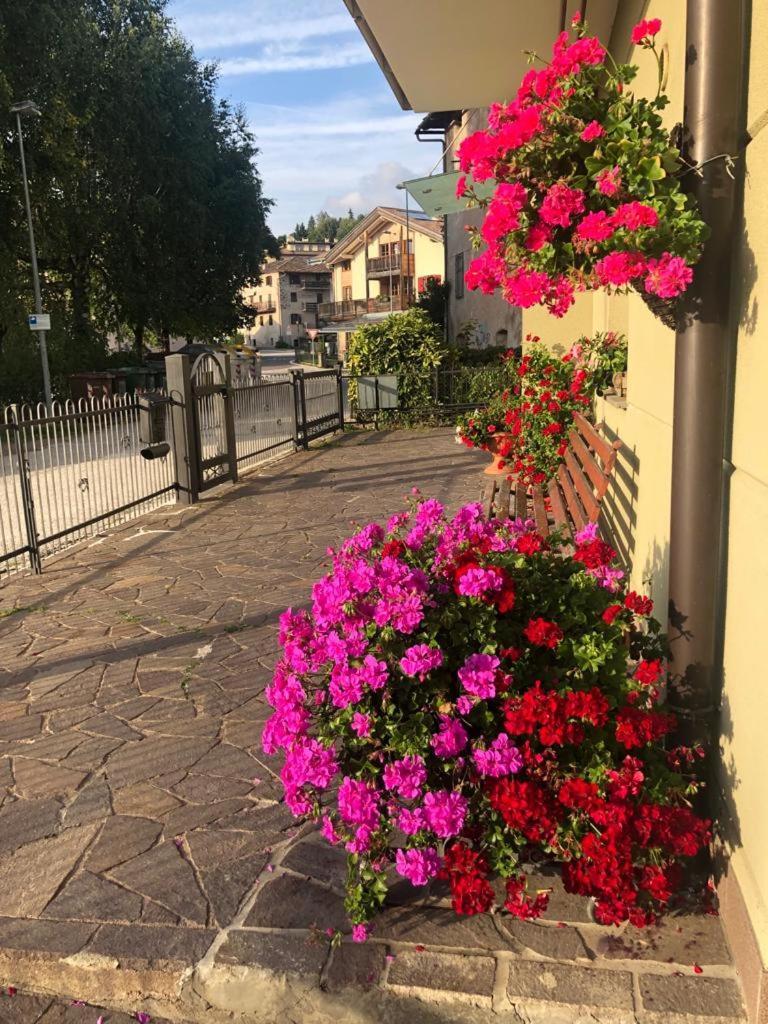 Appartamento Luminoso, Giardino, Vista Dolomiti. Базельга-ди-Пине Экстерьер фото